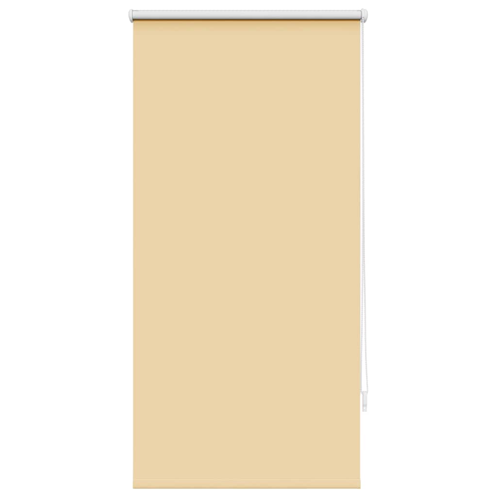Roller Blind Blackout 60 x 120 cm Beige